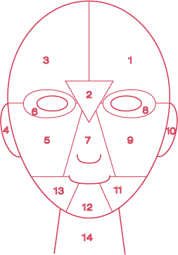 face mapping