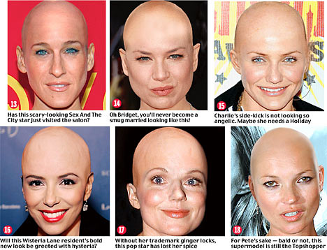 baldy1.jpg