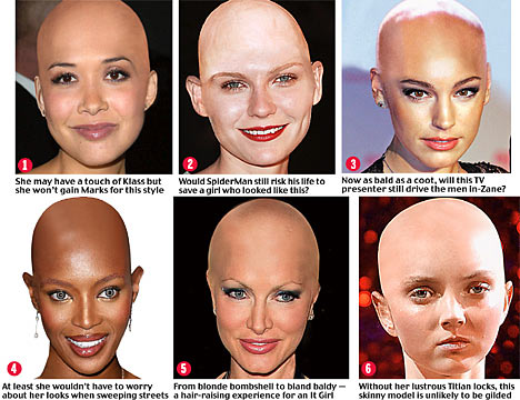 baldy3.jpg