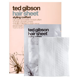 ted gibson