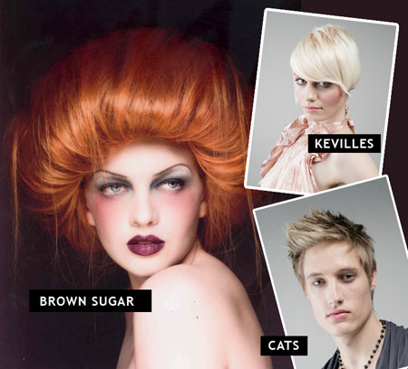 l’oreal colour trophy winners