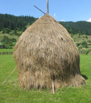 haystack.jpg