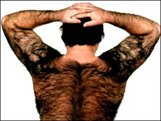 hairy_back.jpg