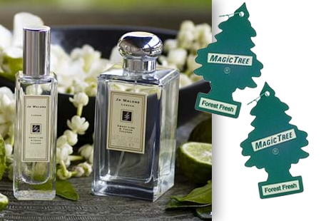 jo malone and magic tree