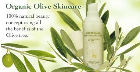 loccitane-olive