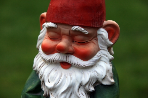 gnome