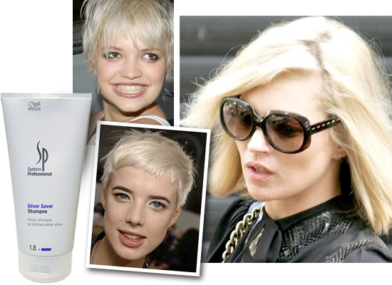 genetisk undersøgelse oversættelse Give Brassiness the Boot with Wella SP Silver Saver Shampoo | Beaut.ie