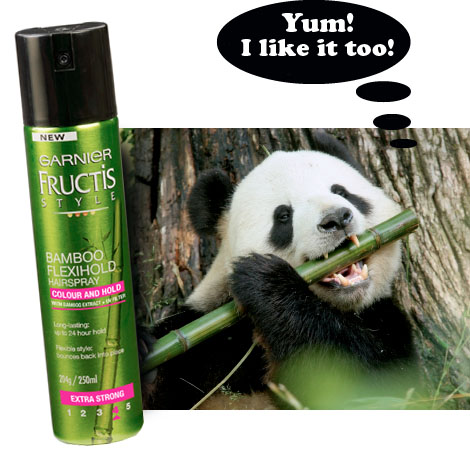 Garnier fructis bamboo hold (and a panda)