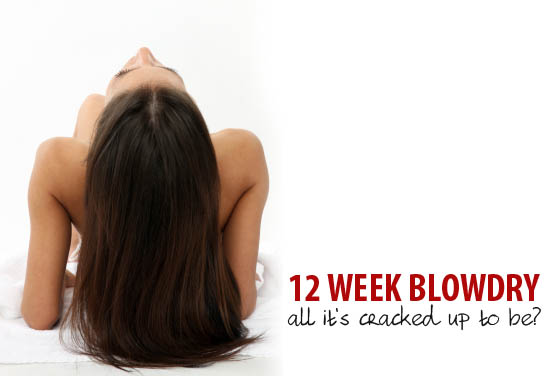12 week blowdry