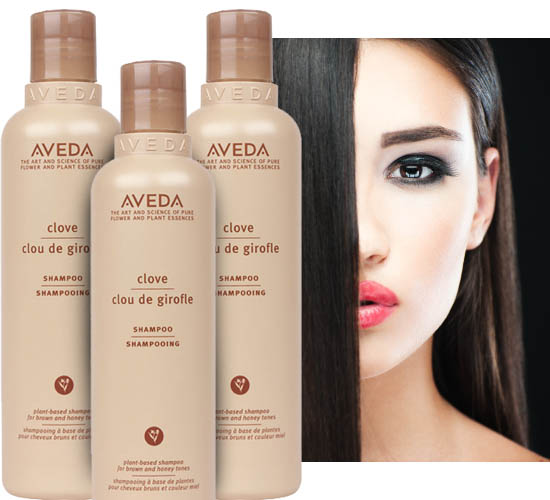 best aveda shampoo