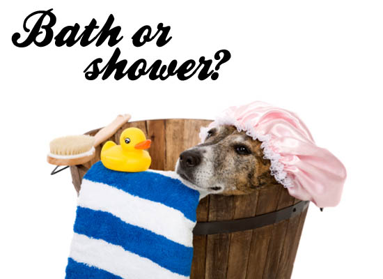 bath or shower?
