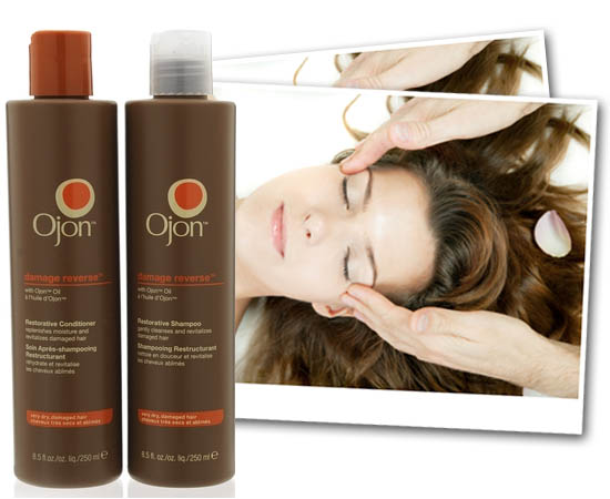 ojon damage reverse shampoo and conditioner