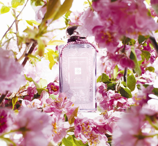 Jo Malone Plum Blossom to Launch in May | Beaut.ie