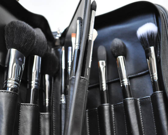 sigma professional brushes