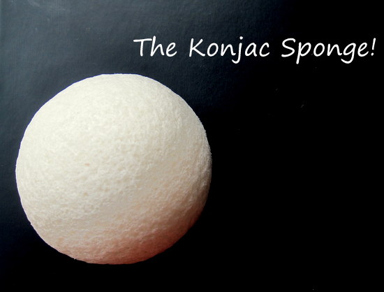 The Konjac Sponge