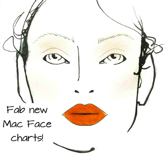 mac makeup face template