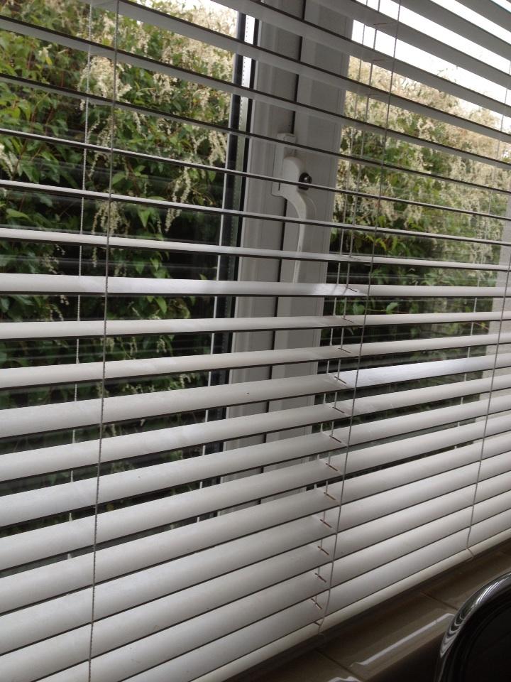 Foil burglars with... Venetian blinds? What are your top tips | Beaut.ie