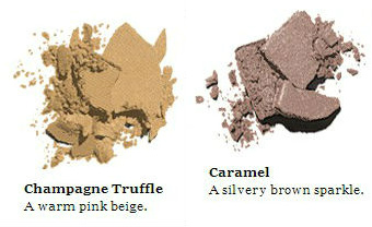 bobbi_brown_richchocolate_textures