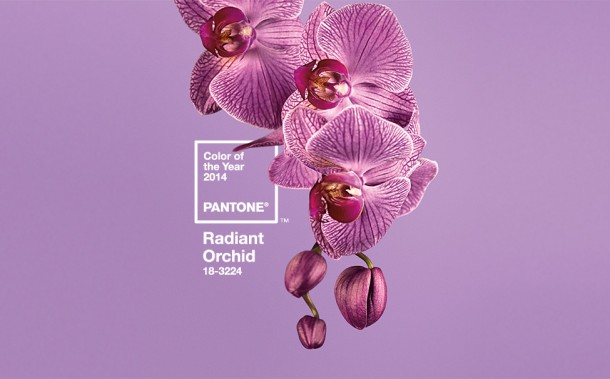 pantone colour of year