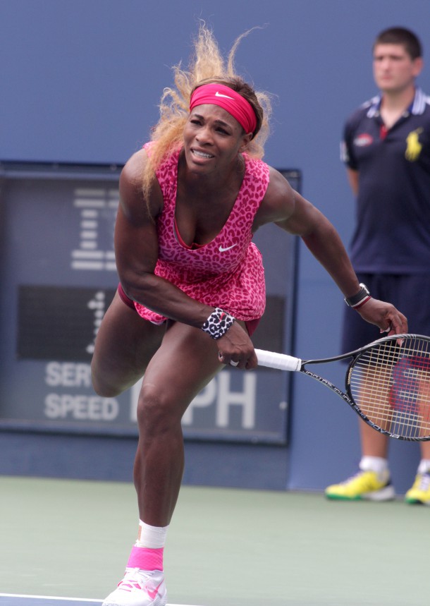 2014 US Open Tennis Championships