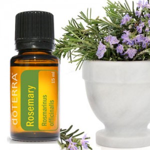 rosemary1