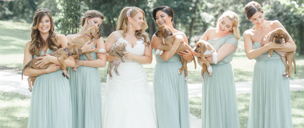 mismatched bridesmaids hairstyles