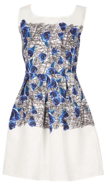 dorothy perkins dress