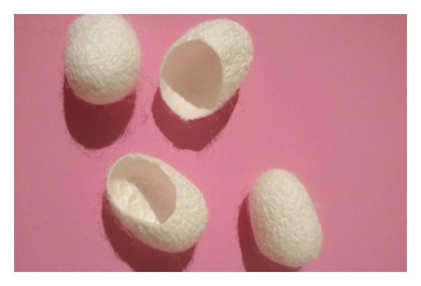 silk cocoons