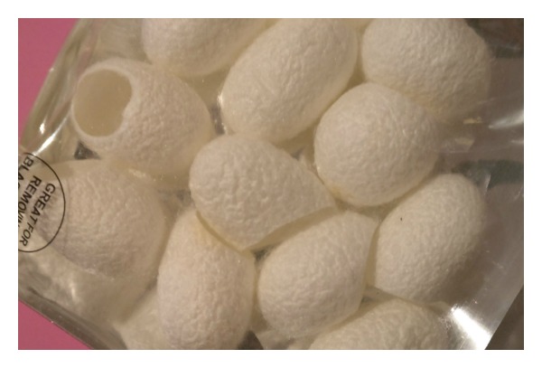 silk cocoons